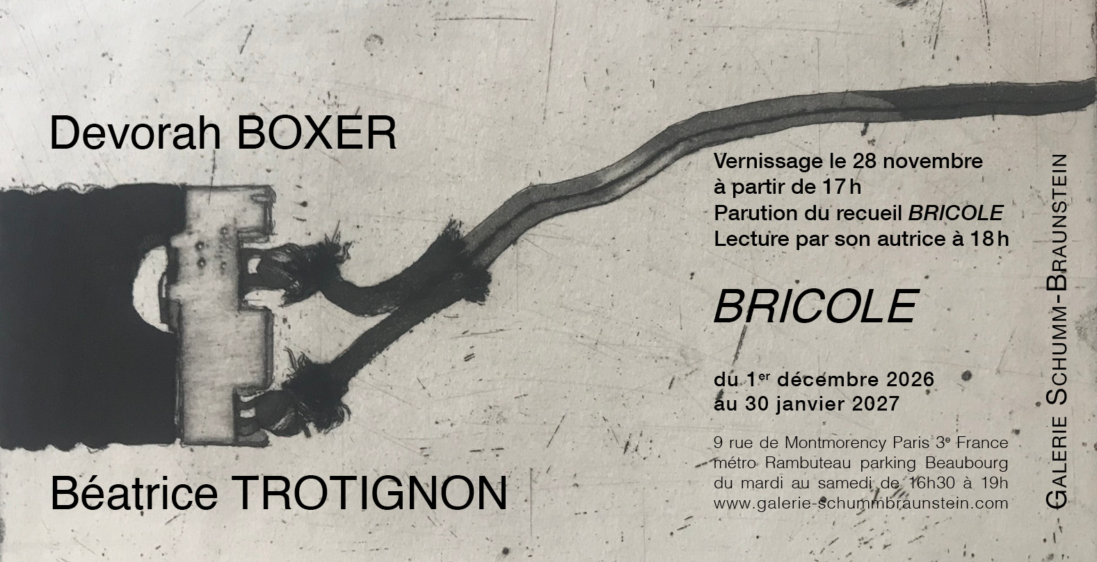 Carton Boxer BRICOLE GSB